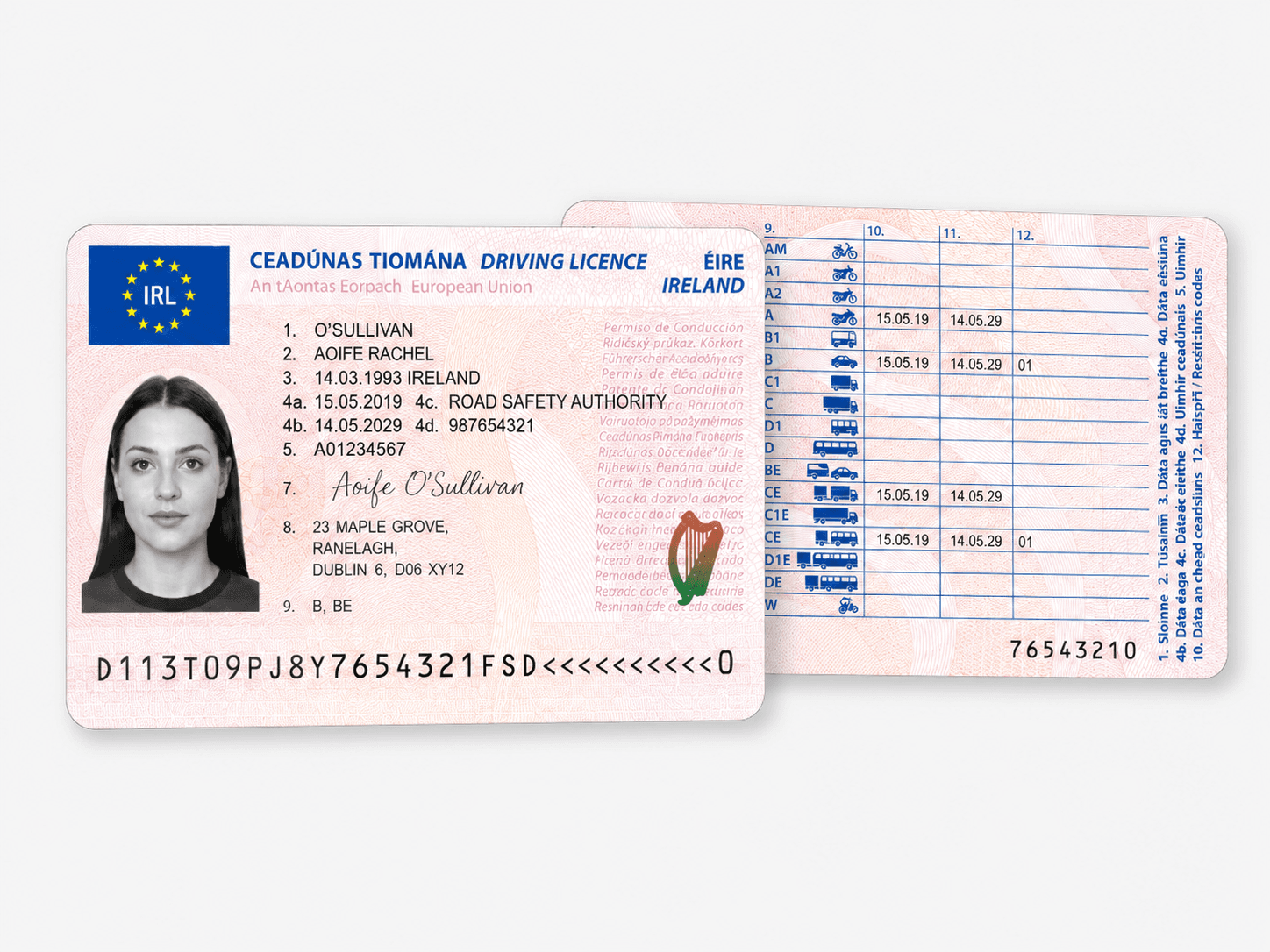 European Driver License